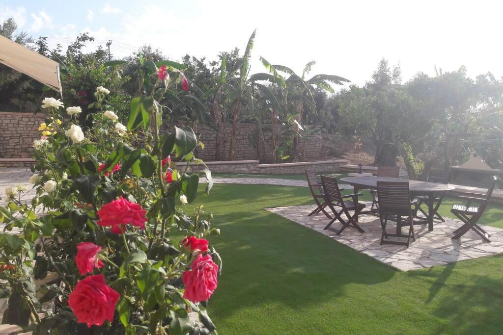 Estella Sorelle 1 Longa Ngoại thất bức ảnh